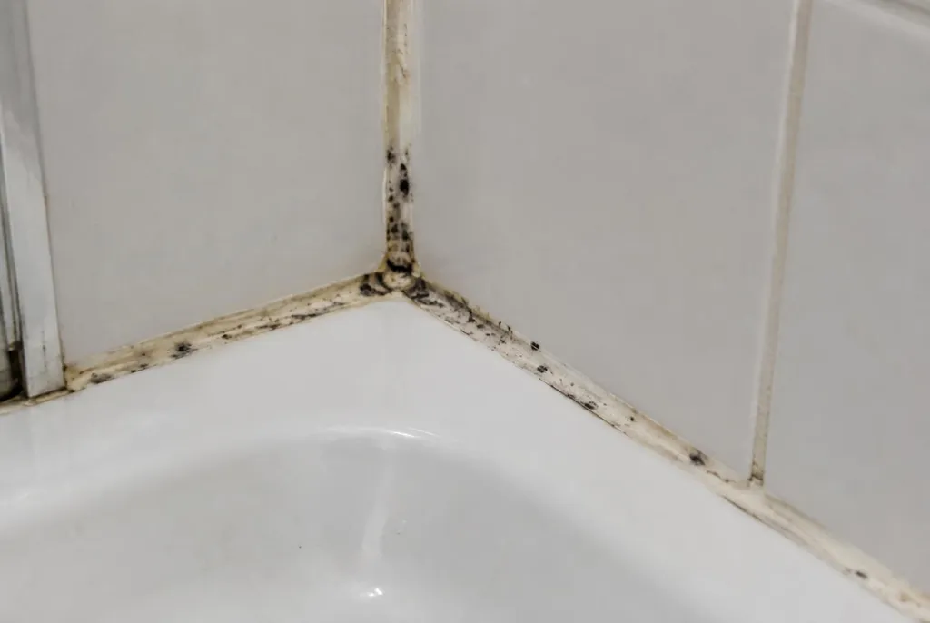 Kitbedrijf Stolwijk – beschimmelde kitranden